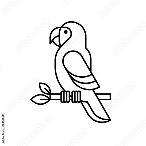 Macaw parrot line vector icon