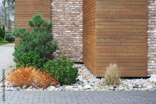 Landscaping composition of coniferous plants and stones near a modern wooden house.
