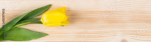 beautiful yellow flower on a long light wooden board