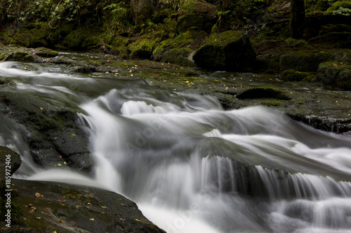 Fototapeta Naklejka Na Ścianę i Meble -  Fluss im Dartmoor - Devon - England