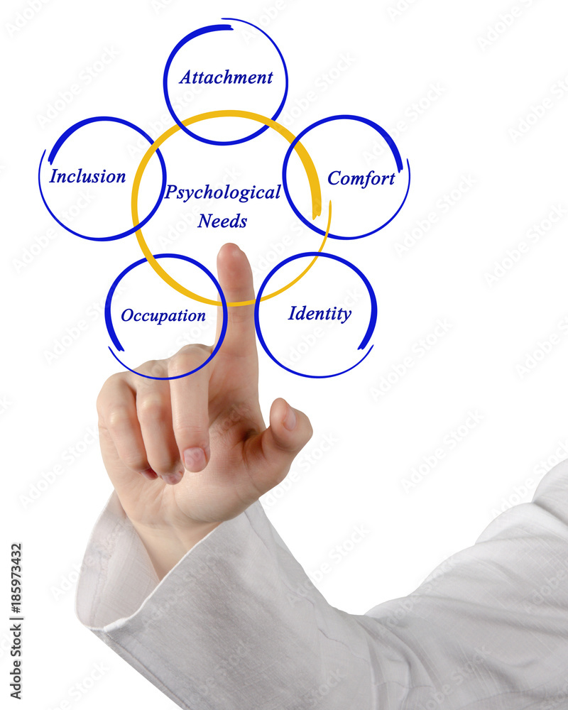 Five Psychological Needs Five Psychological Needs