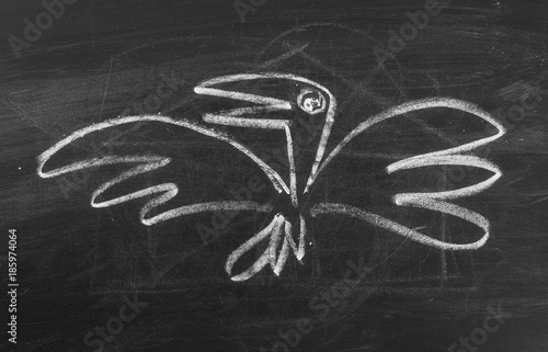 Bird on chalkboard, blackboard background and texture