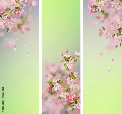 Spring Cherry Blossom