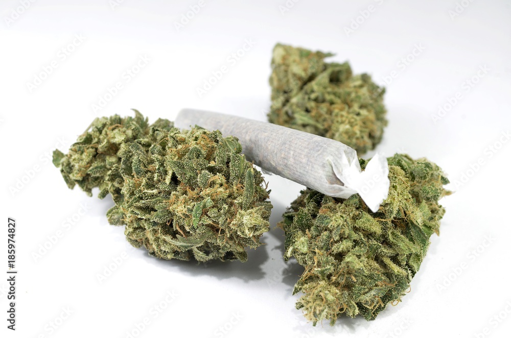 Green marijuana buds with joint laying on white background Green marijuana buds with joint laying on white background