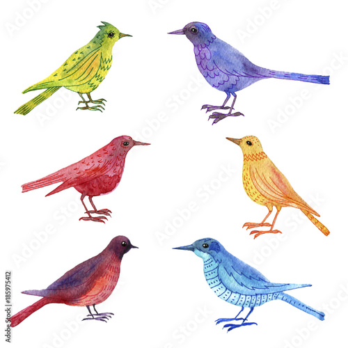 Wallpaper Mural watercolor drawing birds Torontodigital.ca