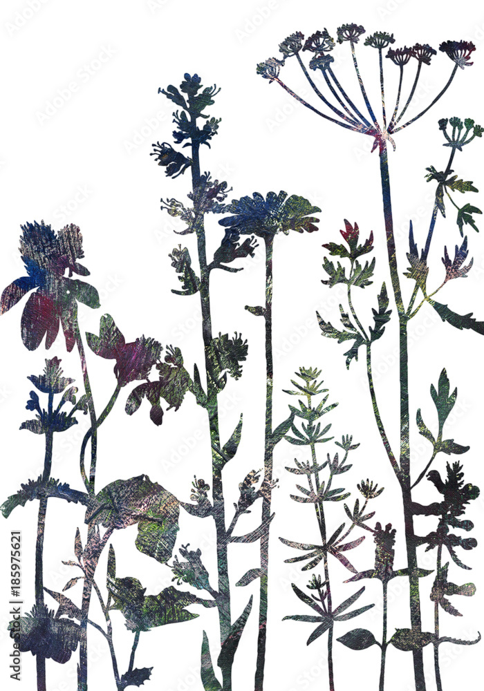 Fototapeta premium Background with drawing herbs and flowers