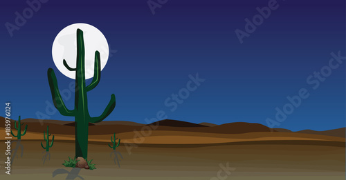 wild desert scene with cactus