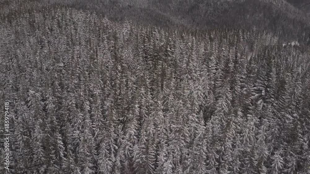 Aerial view. Mountains with trees covered with snow in winter. Winter landscape. Snowing in nature Aerial view. Mountains with trees covered with snow in winter. Winter landscape. Snowing in nature