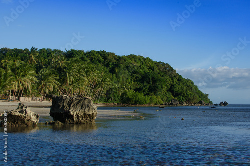 Beach with rocks and palm trees