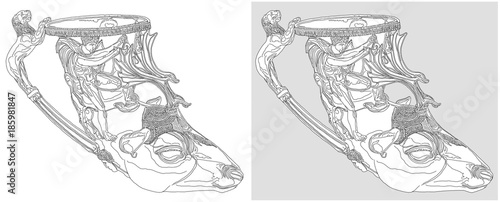 Gold rhyton in the form of deer's head, found at Panagyurishte, Bulgaria a Thracian piece from 4th c. BC