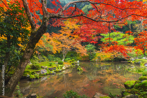 Kyoto Autumn Coloful Season Red Maple Leaf Garden at Nanzen-ji Temple Kansai Travel Japan.