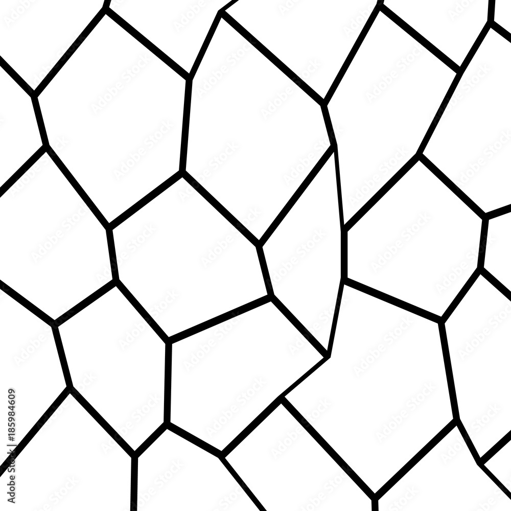 Black and White Fragmentation Background Black and White Fragmentation Background