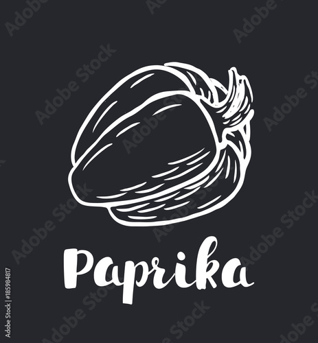 Hand drawn pepper vegetable, chalk sketch in square frame on blackboard background with type. Vintage food vector illustration.