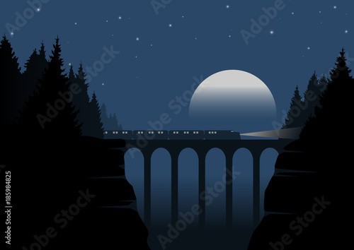 train passing ravine on bridge at night, vector illustration landscape