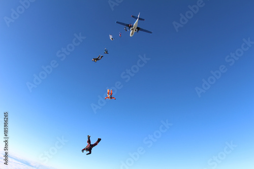 The group of skydivers in the sky.