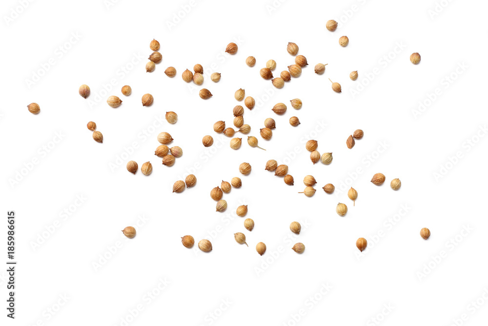 coriander seeds isolated on white background coriander seeds isolated on white background