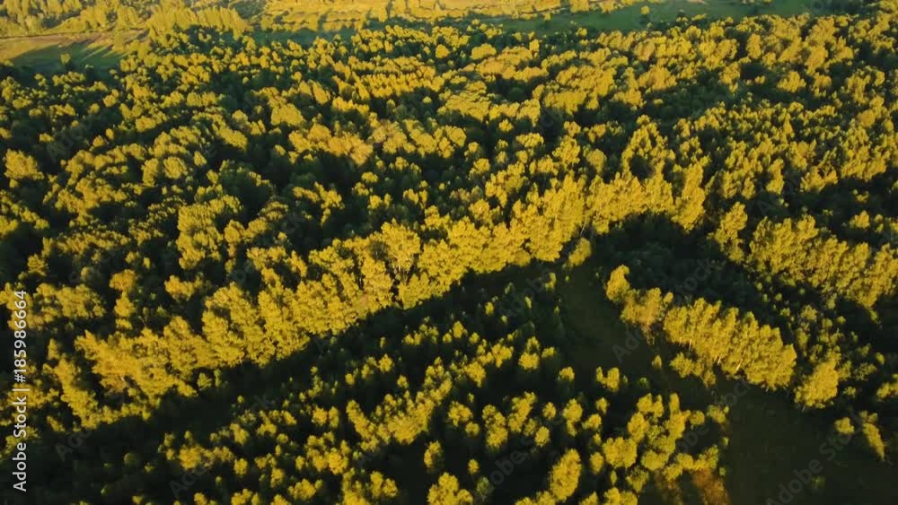 Aerial view Green forest, treetops, forest area. Rural landscape, forest, trees at sunset. Aerial footage, 4K video Aerial view Green forest, treetops, forest area. Rural landscape, forest, trees at sunset. Aerial footage, 4K video
