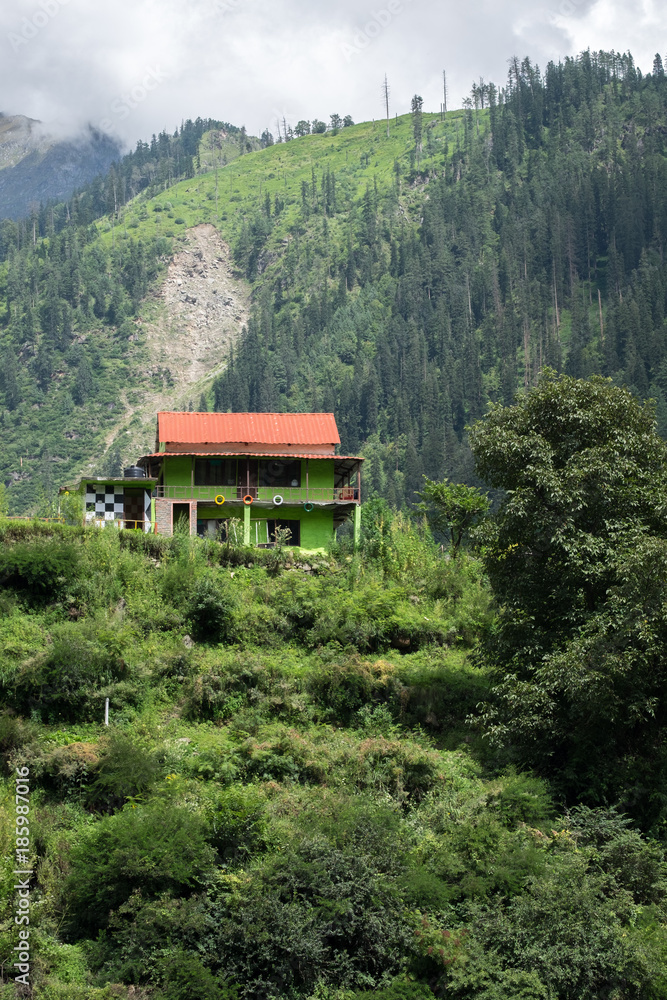 Fototapeta premium Green House on Mountainside near Tosh, India