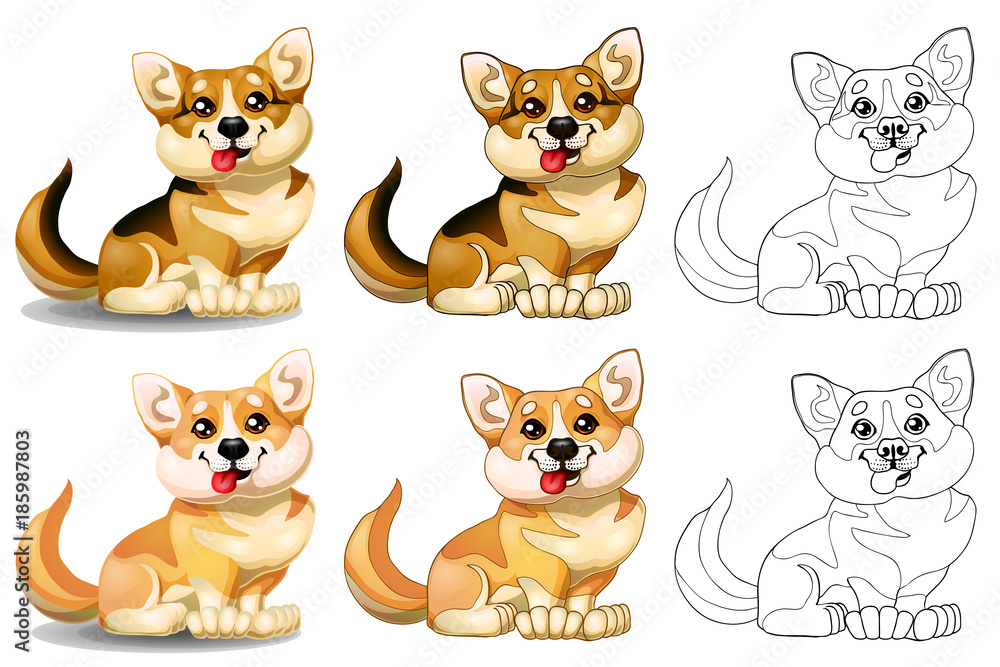 Welsh Corgi and red sphere Welsh Corgi and red sphere