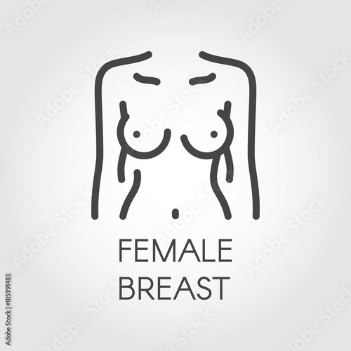 Female breast line icon. Abstract female body pictograph. Healthy lifestyle, silicone, mammology, oncology concept. Contour emblem of human bust. Woman figure front view. Vector illustration