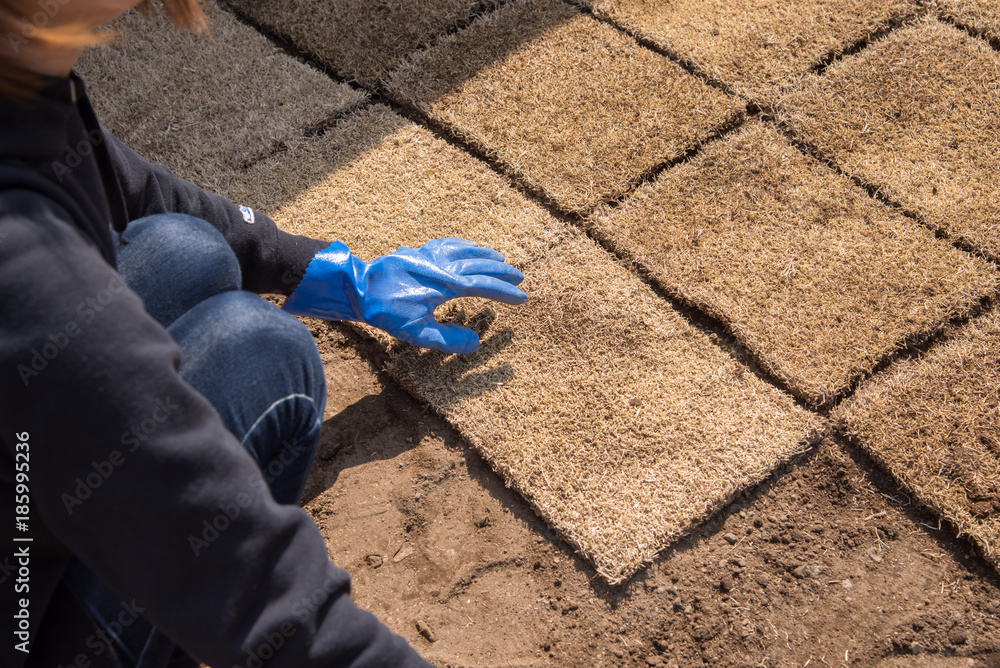 庭に芝生を植える女性stock Photo Adobe Stock 庭に芝生を植える女性stock Photo Adobe Stock