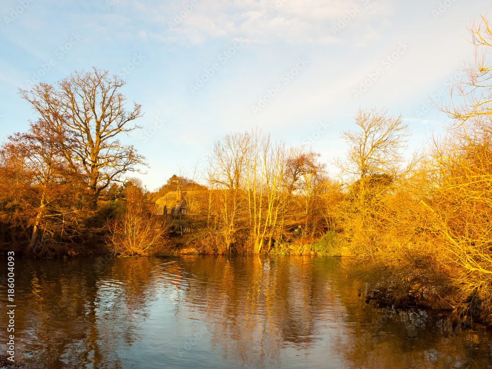 Obraz premium beautiful autumn lake scene sunset light golden on trees sky space open water