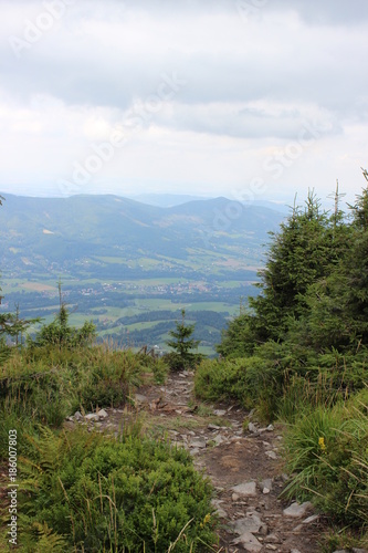 View