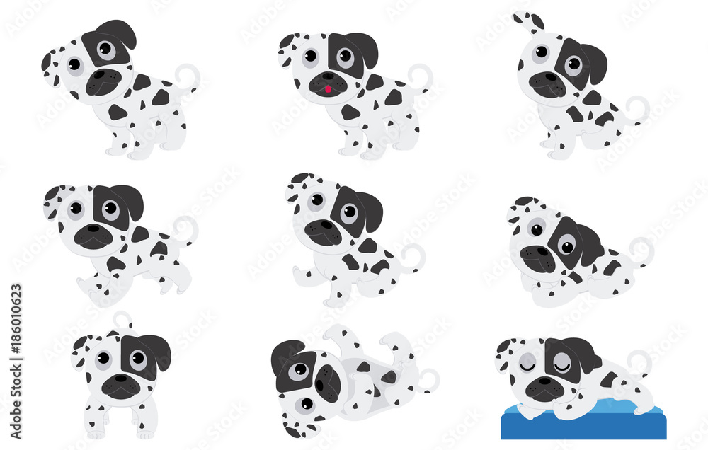 Dalmatian puppies in different poses Dalmatian puppies in different poses