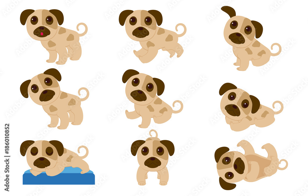 Set of puppies in different poses Set of puppies in different poses