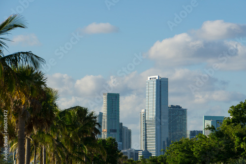 USA, Florida, Skyline of Miami with palm trees