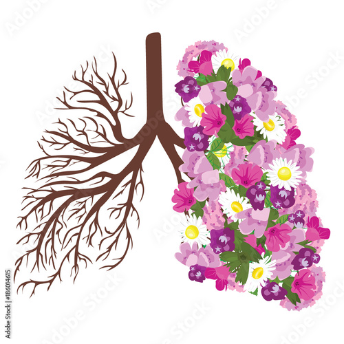 Human lungs. Respiratory system. Healthy lungs. Light in the form of a tree. Line art. Drawing by hand. Medicine.