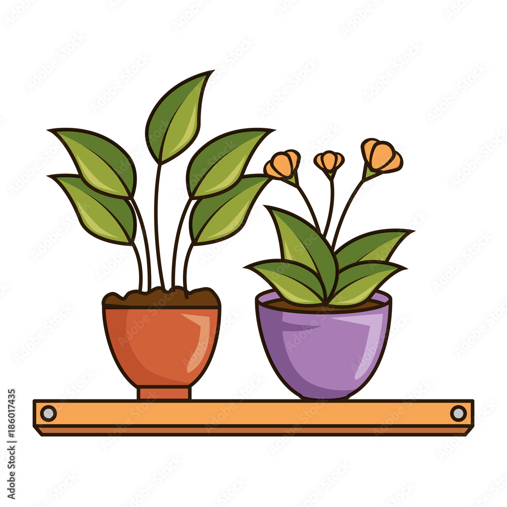 house plants with pots in shelf house plants with pots in shelf