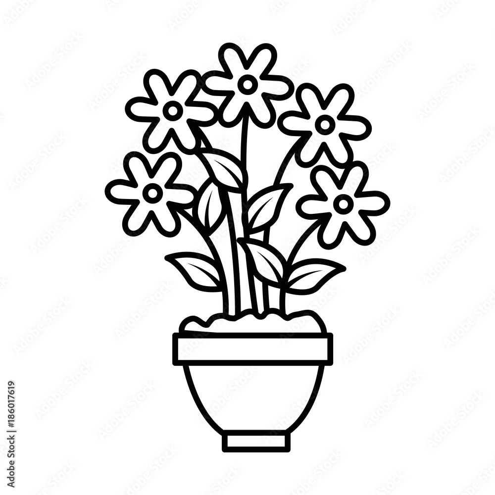 house plant in pot house plant in pot