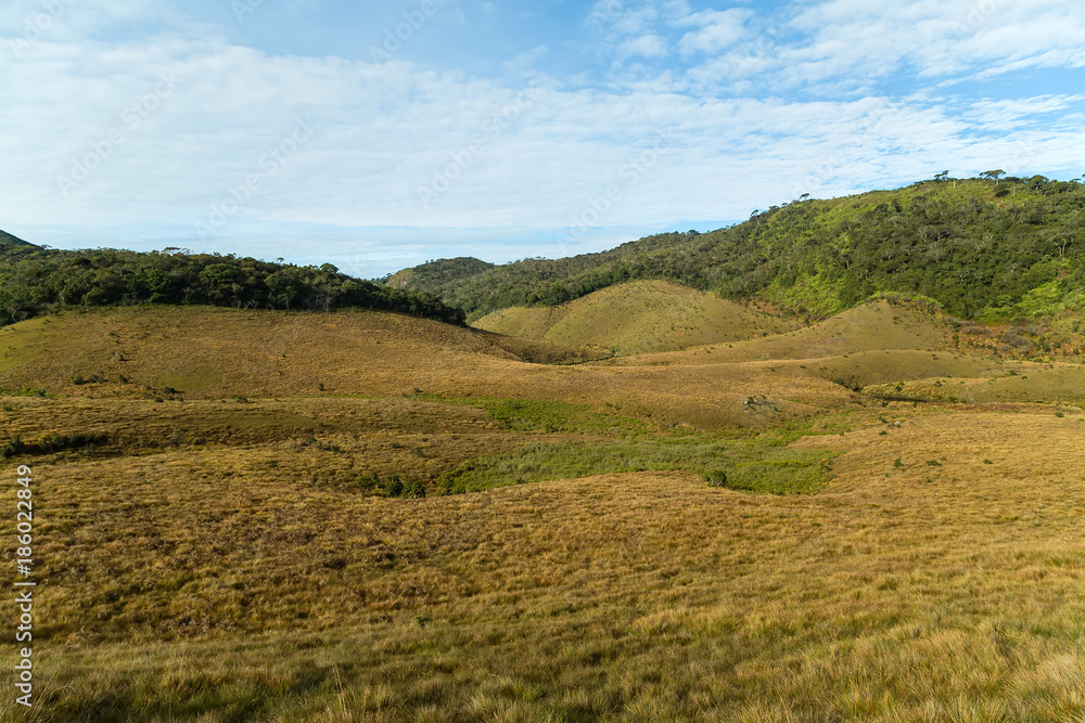 Green meadows and mountains landscape Horton Plains National Park Sri Lanka.
