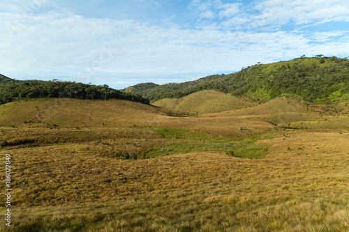 Green meadows and mountains landscape Horton Plains National Park Sri Lanka.