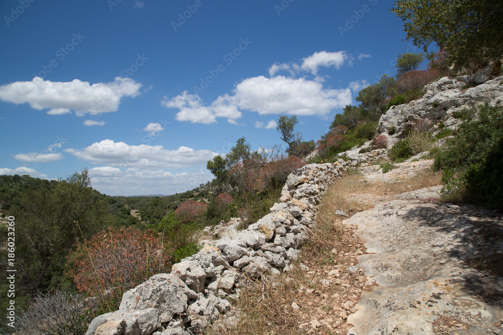 Obraz premium Hiking trail, landscape, view from the left bank, Natural Reserve of Cavagrande del Cassibile 