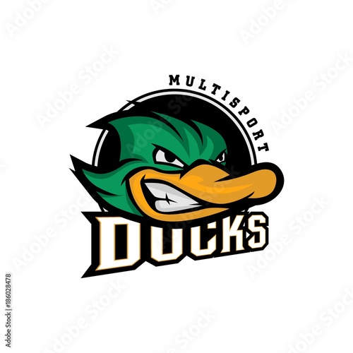 Duck Logo Vector Art photo