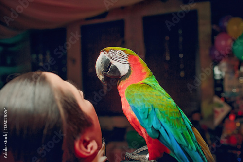 Portrait of colorful Scarlet Macaw parrot againsts club background photo