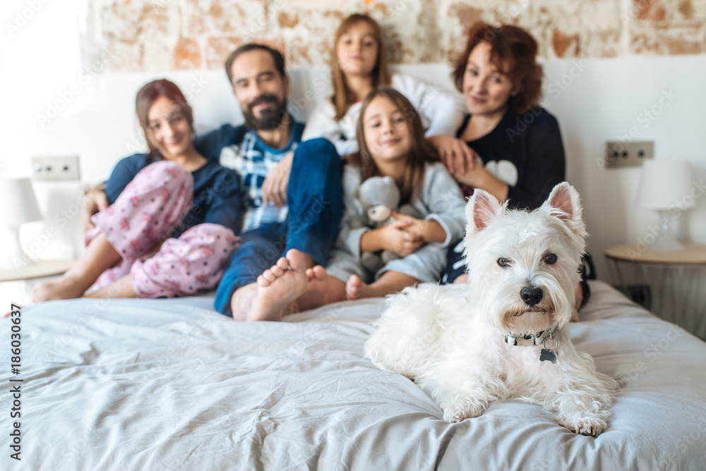 Mature couple relaxed at home in bed with their four little daughters and the Dog.