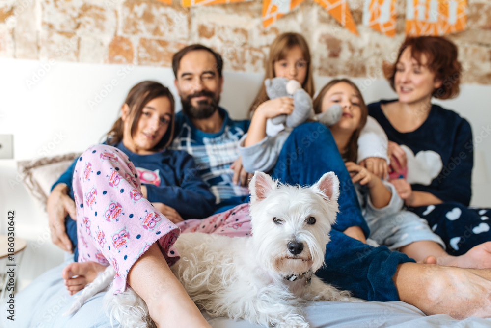 Mature couple relaxed at home in bed with their four little daughters and the Dog. Mature couple relaxed at home in bed with their four little daughters and the Dog.