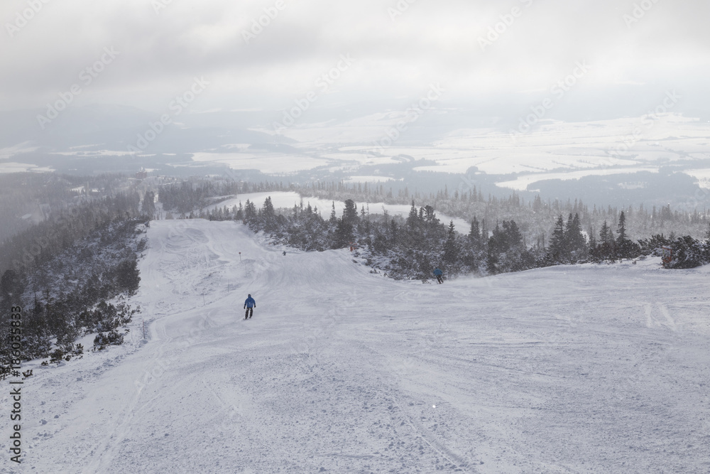 Snow-covered ski slopes , foggy winter day