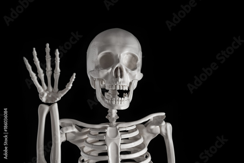 Принти на полотні human skeleton on a black background
