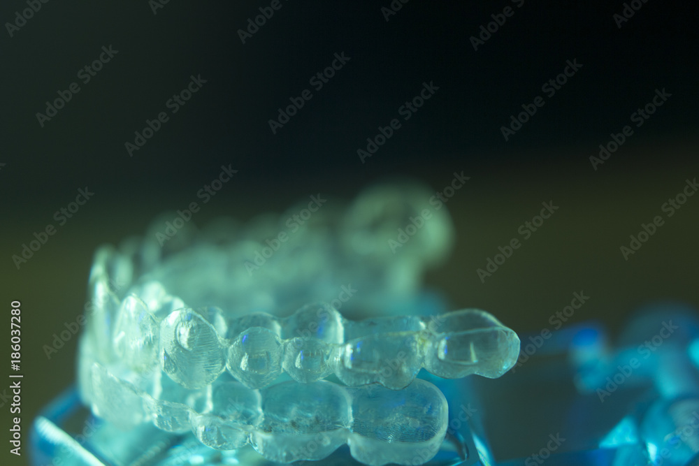 Dental teeth bracets model Dental teeth bracets model