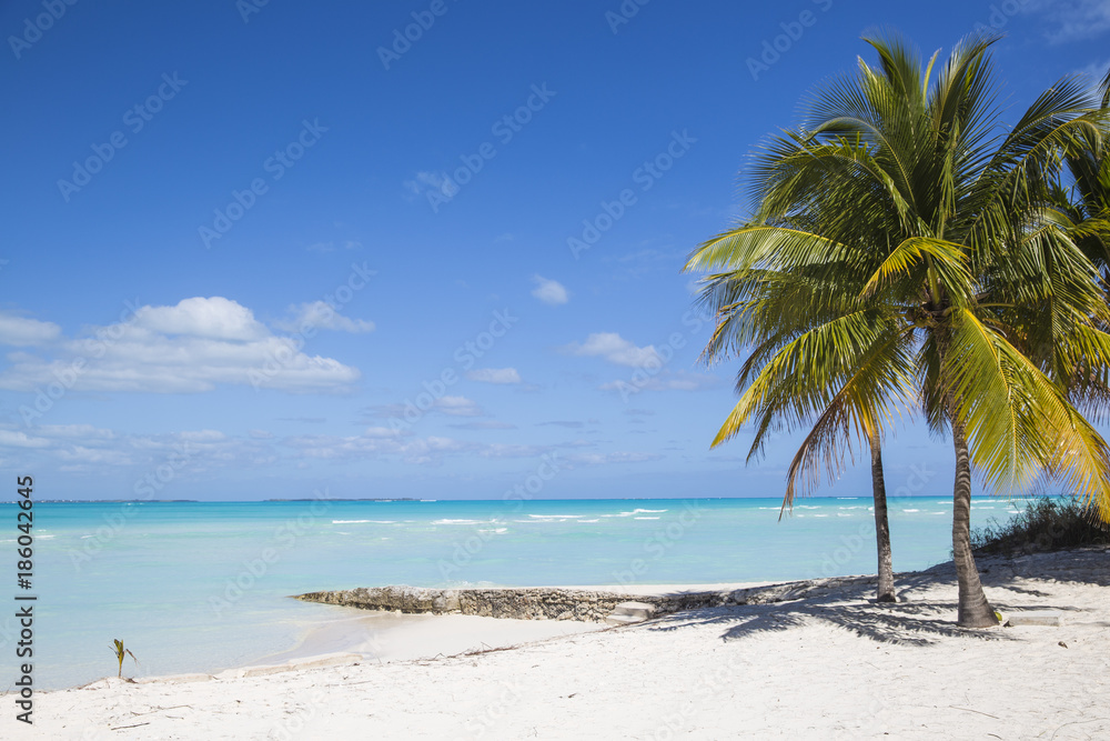 Beach at Treasure Cay, Great Abaco, Abaco Islands, Bahamas Beach at Treasure Cay, Great Abaco, Abaco Islands, Bahamas