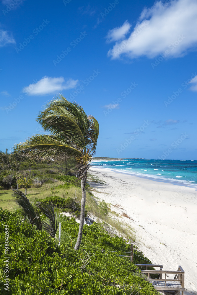 Beach near Nippers Bar, Great Guana Cay, Abaco Islands, Bahamas Stock