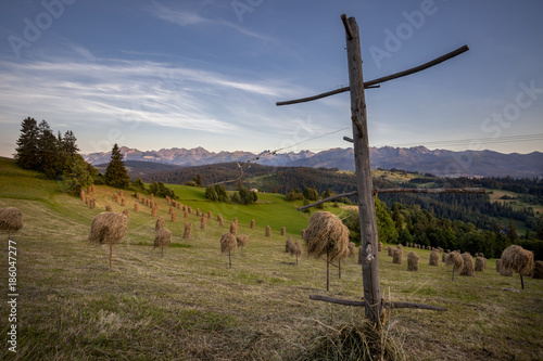Hay stooks in foothills of Carpathian Mountains on outskirts of Bukowina Tatrzanska village, Southern Poland photo