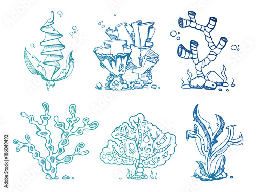 Bright doodle seaweeds underwater plants