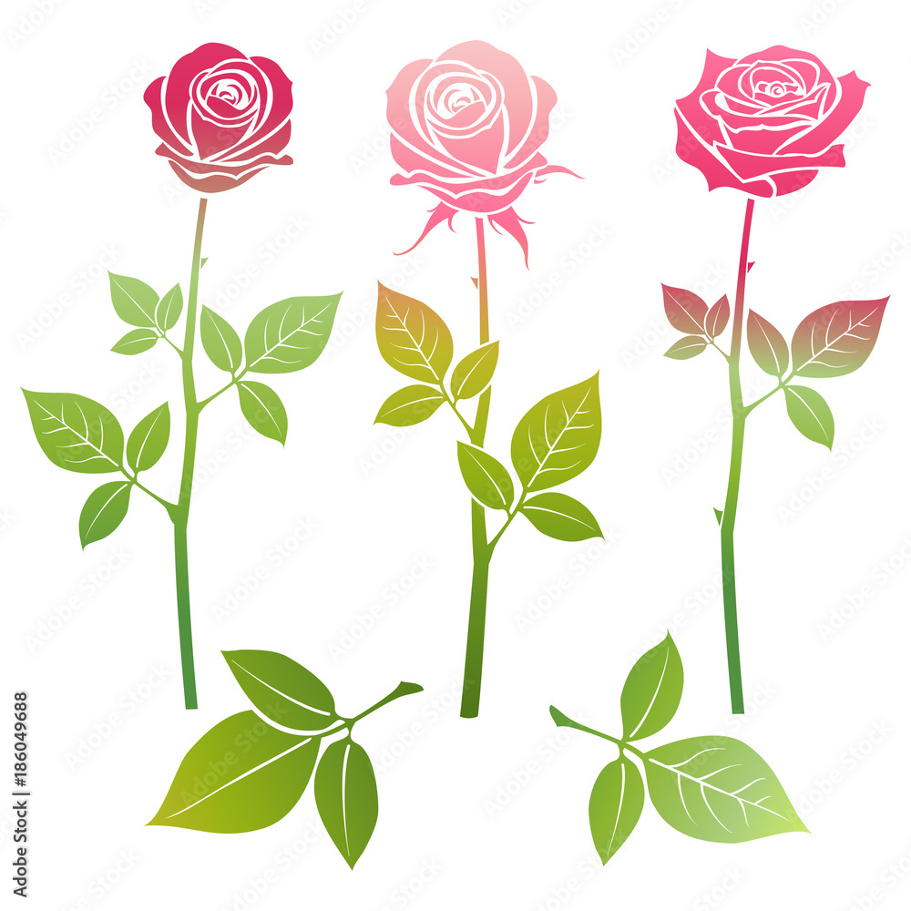 Bright spring roses flowers silhouette