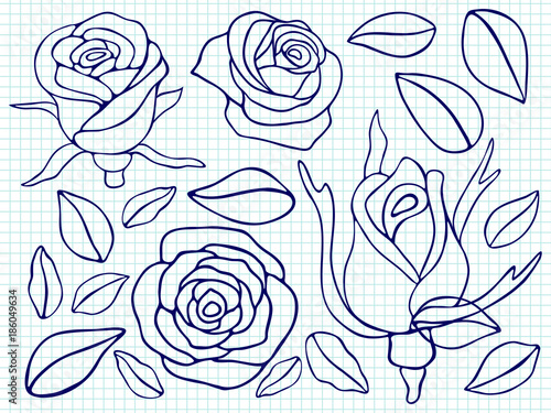 Ballpoint pen drawing roses and leaves