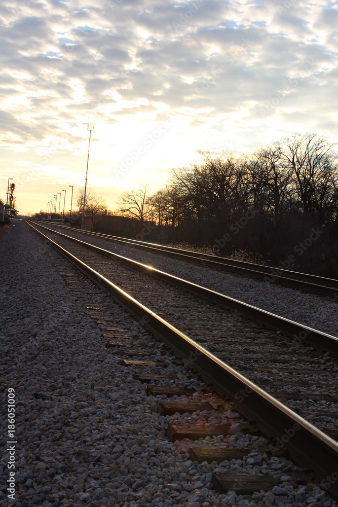 Fototapeta premium The Rails